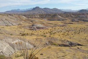 Landscape from Old Maverick Road